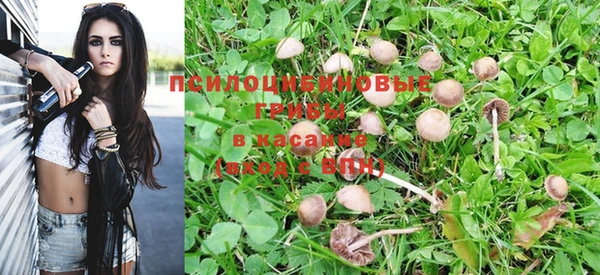 соль ск Медвежьегорск